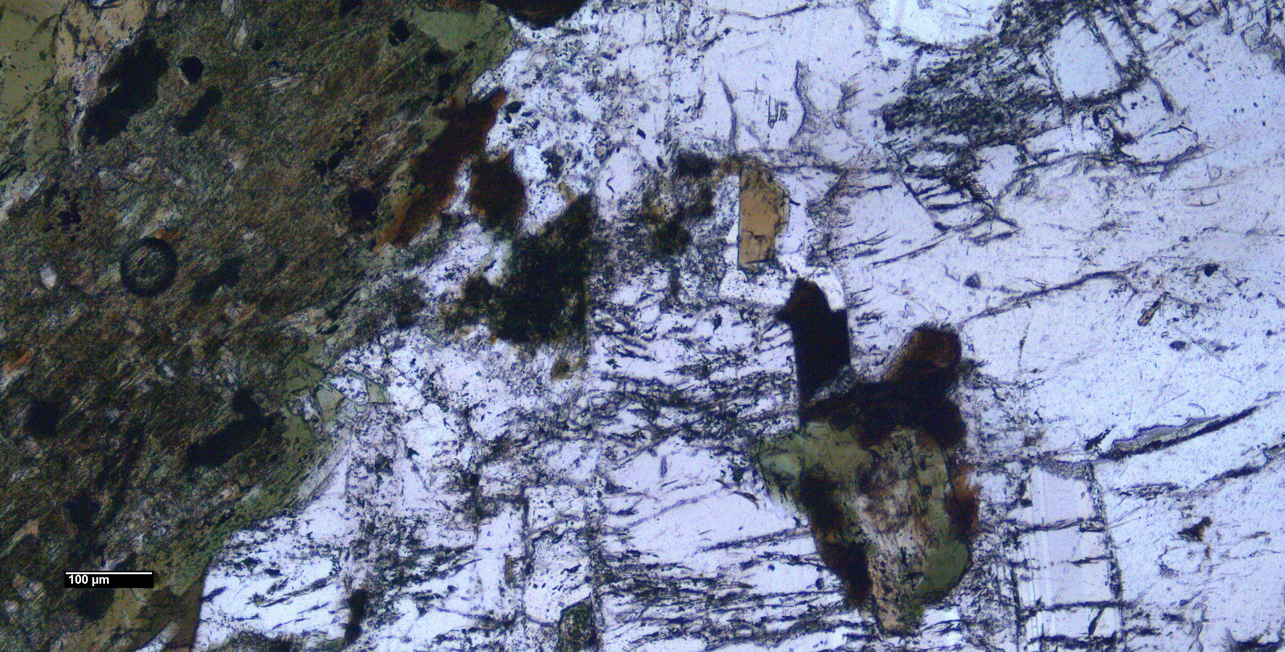Muestra 1 imagen II_LPY