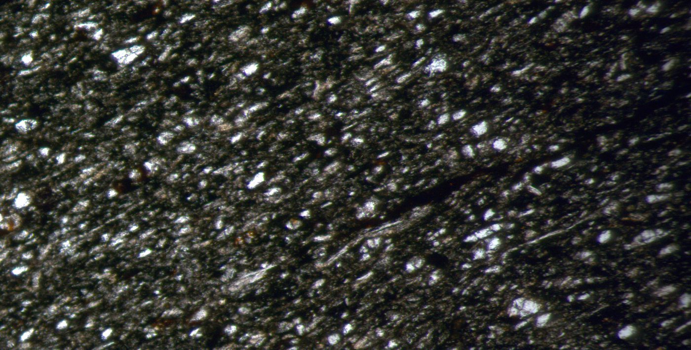 Microfotografía petrográfica 24